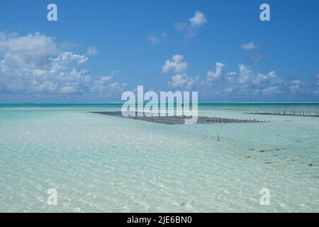 Tranquillo scenario costiero a Jambiani, un tradizionale villaggio di pescatori sulla costa sud-orientale di Zanzibar, Tanzania. L'immagine mostra sabbia bianca incontaminata, Foto Stock