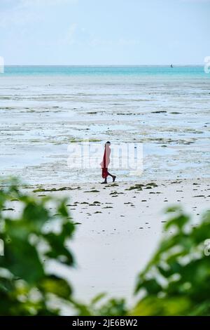 Tranquillo scenario costiero a Jambiani, un tradizionale villaggio di pescatori sulla costa sud-orientale di Zanzibar, Tanzania. L'immagine mostra sabbia bianca incontaminata, Foto Stock