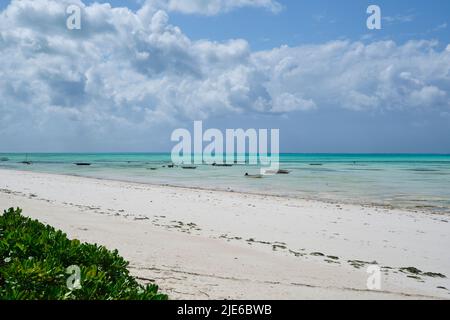 Tranquillo scenario costiero a Jambiani, un tradizionale villaggio di pescatori sulla costa sud-orientale di Zanzibar, Tanzania. L'immagine mostra sabbia bianca incontaminata, Foto Stock
