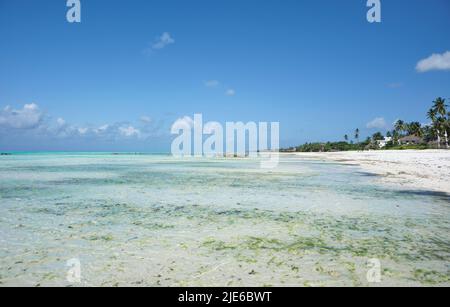 Tranquillo scenario costiero a Jambiani, un tradizionale villaggio di pescatori sulla costa sud-orientale di Zanzibar, Tanzania. L'immagine mostra sabbia bianca incontaminata, Foto Stock