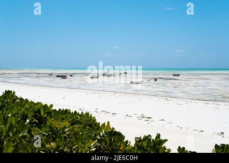 Tranquillo scenario costiero a Jambiani, un tradizionale villaggio di pescatori sulla costa sud-orientale di Zanzibar, Tanzania. L'immagine mostra sabbia bianca incontaminata, Foto Stock
