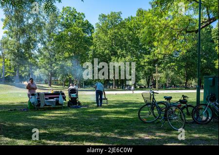 Le persone godono di un barbecue picnic in una vacanza calda e soleggiata Midsummer nel parco cittadino Folkparken a Norrköping, Svezia Foto Stock