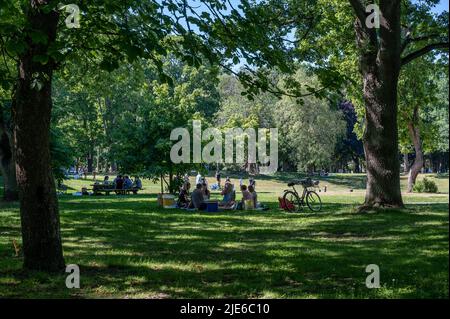 La gente gode di un picnic una vacanza calda e soleggiata della metà estate nel parco cittadino Folkparken a Norrköping, Svezia Foto Stock