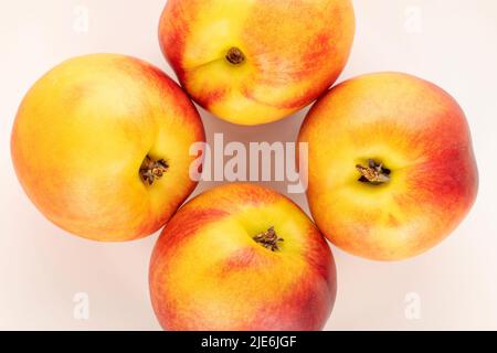 Quattro nettarine succose mature su un piatto di ceramica bianca, primo piano, vista dall'alto. Foto Stock