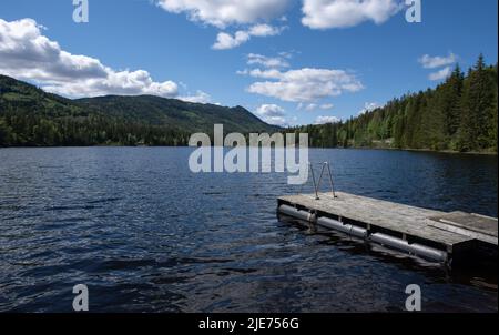 Imbottitura su una piattaforma galleggiante in legno. Scala in metallo per uscire dall'acqua di un bellissimo fiordo in Norvegia. Mare increspato. Giornata di primavera soleggiata. Nessuna gente. Foto Stock