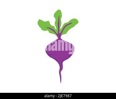 Illustrazione vettoriale Beetroot semplice e creativa Illustrazione Vettoriale