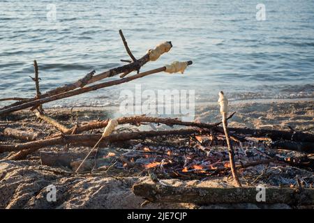 Bastone pane cotto sul fuoco. Pasta di pane attorcigliata su bastone di legno e arrostita al fuoco. Divertente cibo da campeggio per bambini. Spiaggia picnic grill o barbecue. Foto Stock