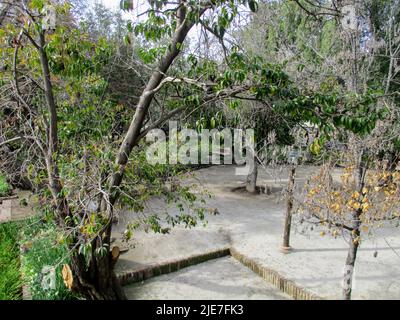 Piazze e giardini a Santiago, Cile Foto Stock
