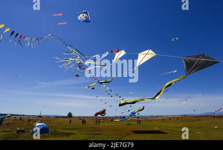 Richmond, Canada. 25th giugno 2022. Gli aquiloni sono visti durante il Pacific Rim Kite Festival al Garry Point Park di Richmond, British Columbia, Canada, il 25 giugno 2022. Credit: Liang Sen/Xinhua/Alamy Live News Foto Stock