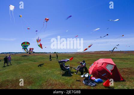 Richmond, Canada. 25th giugno 2022. Gli aquiloni sono visti durante il Pacific Rim Kite Festival al Garry Point Park di Richmond, British Columbia, Canada, il 25 giugno 2022. Credit: Liang Sen/Xinhua/Alamy Live News Foto Stock