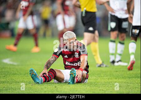 Rio de Janeiro, Brasile. 26th giugno 2022. RJ - Rio de Janeiro - 06/25/2022 - BRASILIANO A 2022, FLAMENGO X AMERICA-MG - Flamengo giocatore da Arrascaeta durante una partita contro America-MG allo stadio Maracana per il campionato brasiliano A 2022. Foto: Jorge Rodrigues/AGIF/Sipa USA Credit: Sipa USA/Alamy Live News Foto Stock