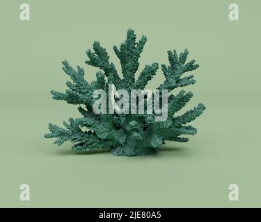 3D rendering di corallo verde isolato su sfondo pastello, 3D sfondo minimo scena Foto Stock