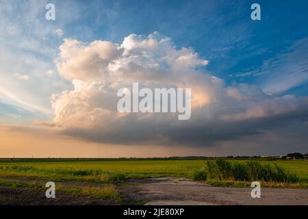 Vista grandangolare di una nuvola di tempesta su un paesaggio pianeggiante durante l'ora d'oro Foto Stock