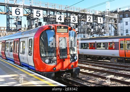 Prima linea Hammersmith treno della metropolitana di Londra alla stazione di Royal Oak treno passeggeri sotto il portale di segnalazione in avvicinamento alla stazione di Paddington Inghilterra UK Foto Stock