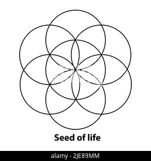 Fiore di vita, seme ed uovo di vita, sviluppo. Figure geometriche, simboli spirituali e geometria sacra. Cerchi che formano un fiore simmetrico Illustrazione Vettoriale