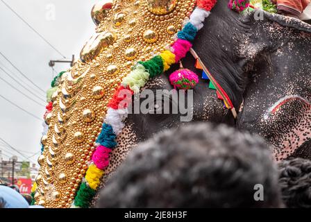 Thrissur Pooram Elefanti addestrati e orgogliosi - bella bestia Foto Stock