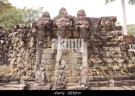 Terrazza degli elefanti, Angkor Thom, Angkor, Siem Reap, Cambogia. Terrazza degli elefanti è parte della città murata di Angkor Thom, un templ rovinato Foto Stock