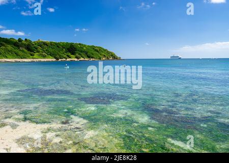 A Castle Beach Falmouth con Pendennis Point sullo sfondo Cornwall Inghilterra UK Foto Stock