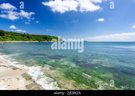 A Castle Beach Falmouth con Pendennis Point sullo sfondo Cornwall Inghilterra UK Foto Stock