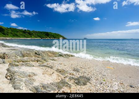 A Castle Beach Falmouth con Pendennis Point sullo sfondo Cornwall Inghilterra UK Foto Stock