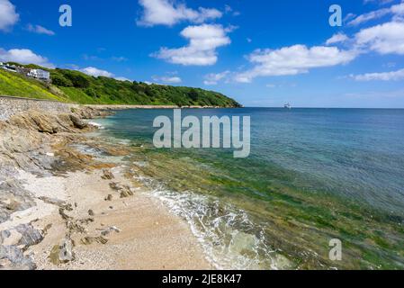 A Castle Beach Falmouth con Pendennis Point sullo sfondo Cornwall Inghilterra UK Foto Stock