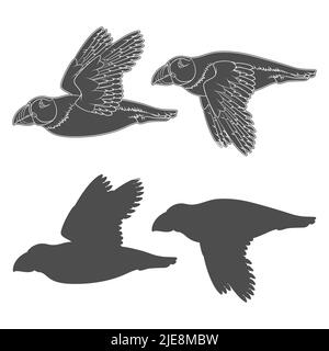 Set di illustrazioni in bianco e nero con uccello volante in puffin. Oggetti vettoriali isolati su sfondo bianco. Illustrazione Vettoriale