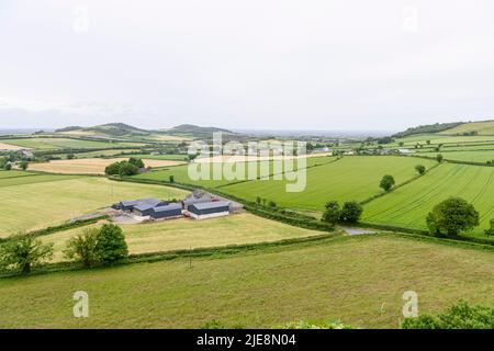 Vista dalla Rocca di Dunamase, un forte difensivo della collina del 9th secolo, Irlanda. Foto Stock