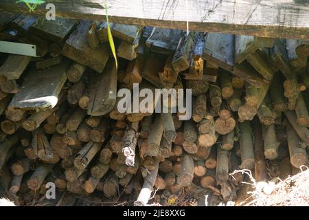 Rametti e assi di legno impilati in un palo. Per proteggerli dalla pioggia, hanno un tetto in legno. Foto Stock