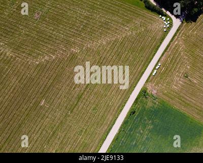 strada di campagna con raccolto tagliato e rotoli di fieno, vista dall'alto, vista aerea Foto Stock