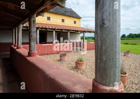 Una ricostruzione di una casa di città romana, città romana di Wroxeter, Shropshire Foto Stock