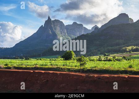 Campo di canna da zucchero con Pietro entrambi sullo sfondo. Cielo azzurro nell'isola di mauritius, Africa Foto Stock