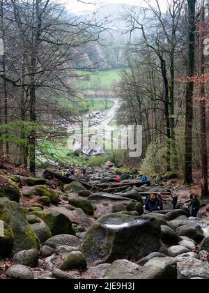 Felsenmeer a Lautertal (Odenwald/Germania) Foto Stock