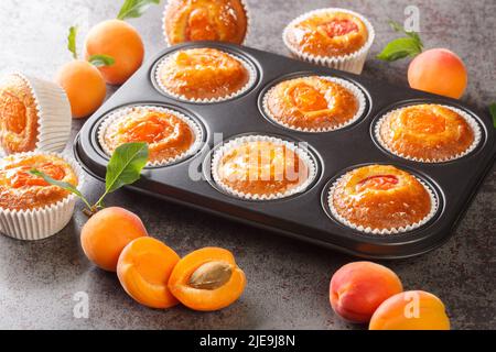 Muffin allo yogurt all'albicocca in una teglia da forno sul tavolo. Orizzontale Foto Stock