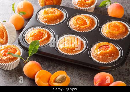 Primo piano dei muffin allo yogurt albicocca in forma di cottura sul tavolo. Orizzontale Foto Stock