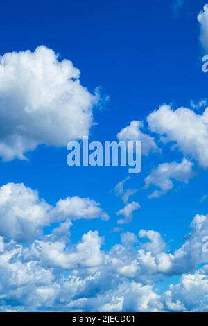 Bellissimo cielo blu estivo. Soffici nubi di cumulo bianco. Sfondo naturale. Foto verticale. Foto Stock