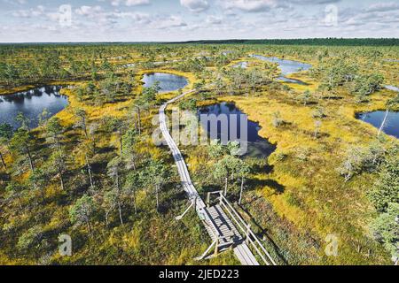 Passerella sulla palude rialzata, vista dalla torre di osservazione. Parco Nazionale di Kemeri in Lettonia. Estate Foto Stock