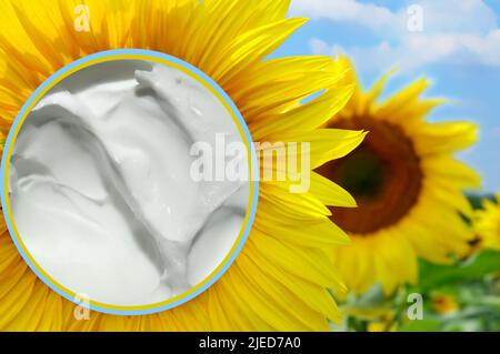 Crema corpo con olio di girasole con vitamina e, posta su un girasole nel campo in una bella giornata di sole Foto Stock