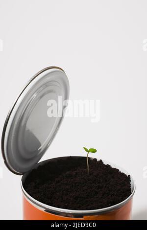 Albero che semina emergendo attraverso suolo in lattina può. Foto Stock