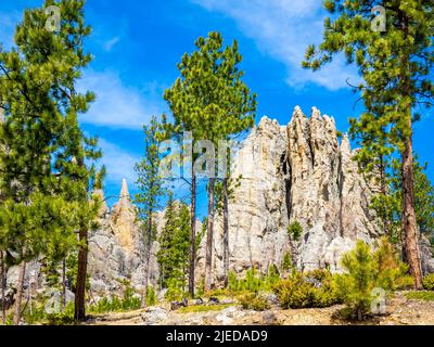 Paesaggio lungo la Needles Highway nel Custer state Park nelle Black Hills del South Dakota USA Foto Stock