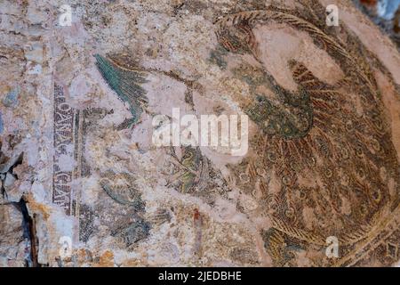 Mosaici di basilica nell'antica città Anemurium Foto Stock