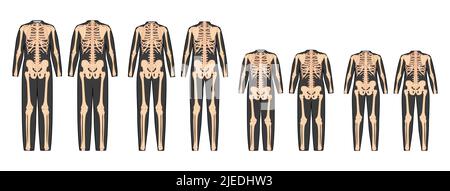 Set di Skeleton costume ossa umane per tutta la famiglia fronte retro vista uomini donne bambini - ragazzo, ragazza per Halloween per la stampa su abiti piatta colore naturale concetto Vector illustrazione isolato Illustrazione Vettoriale