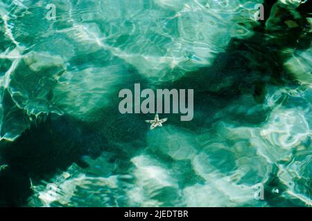 Astratto bellezza reale sfondo natura. Bokeh oceano ondulato superficie mare. Shadow texture profondità subacquea fondo sabbia attraverso acqua liquido. Foto Foto Stock
