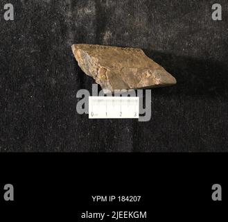 Diacalymene drummuckensis (Reed). Foto Stock