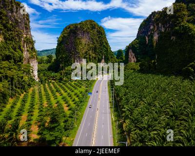 Vista aerea della strada e piantagione di olio di palma in Krabi Thailandia. piantagione di olio di palma di palma in Thailandia, vista del drone su una strada con palme Foto Stock