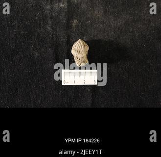 Diacalymene drummuckensis (Reed). Foto Stock