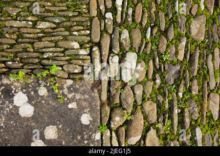 tradizionale sentiero acciottolato con erbacce che crescono nelle crepe con tre diverse strutture e orientamenti Foto Stock