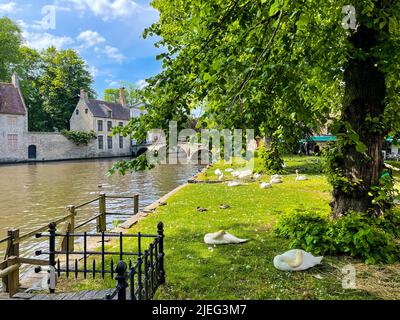 La città di Bruges, una splendida città medievale delle Fiandre, in Belgio, è famosa per i canali e per l'architettura sorprendente. Foto Stock