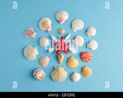 Red starfish surrounded by assorted seashells on blue background. Summer holiday or vacation concept. Foto Stock