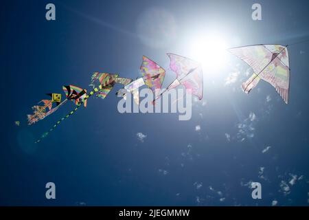 Documentazione fotografica della serie di acari colorati che volano nel cielo blu Foto Stock