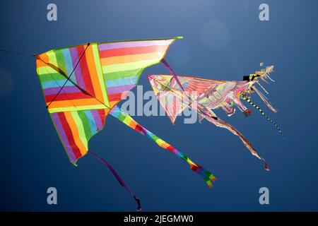 Documentazione fotografica della serie di acari colorati che volano nel cielo blu Foto Stock